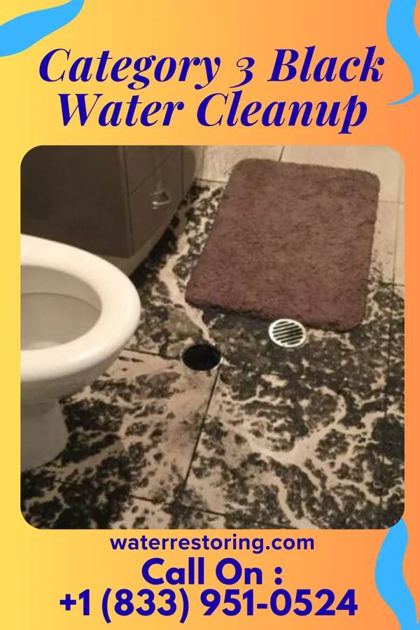 Category 3 Black Water Cleanup in SeaTac, WA