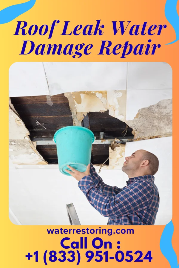 Roof Leak Water Damage Repair in SeaTac, WA