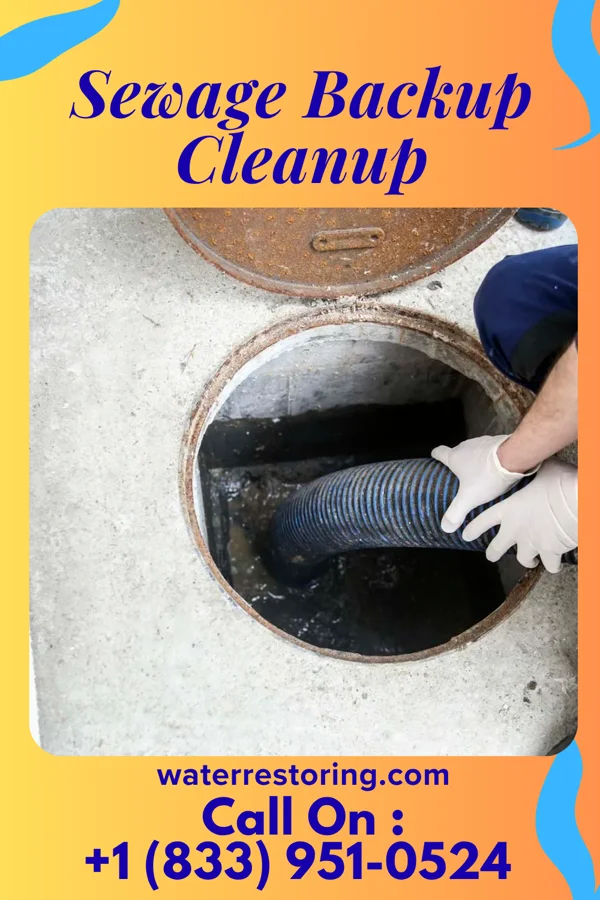 Sewage Backup Cleanup in SeaTac, WA