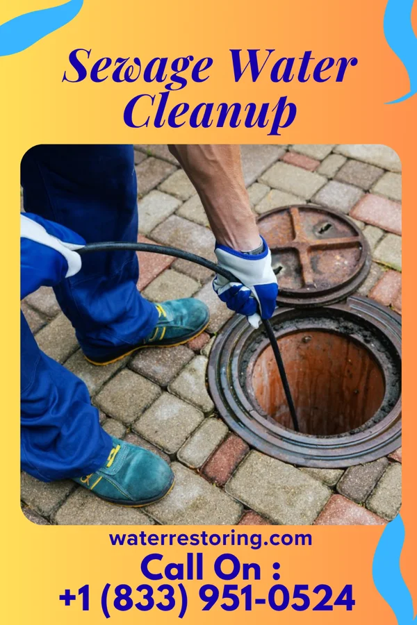 Sewage Water Cleanup in SeaTac, WA
